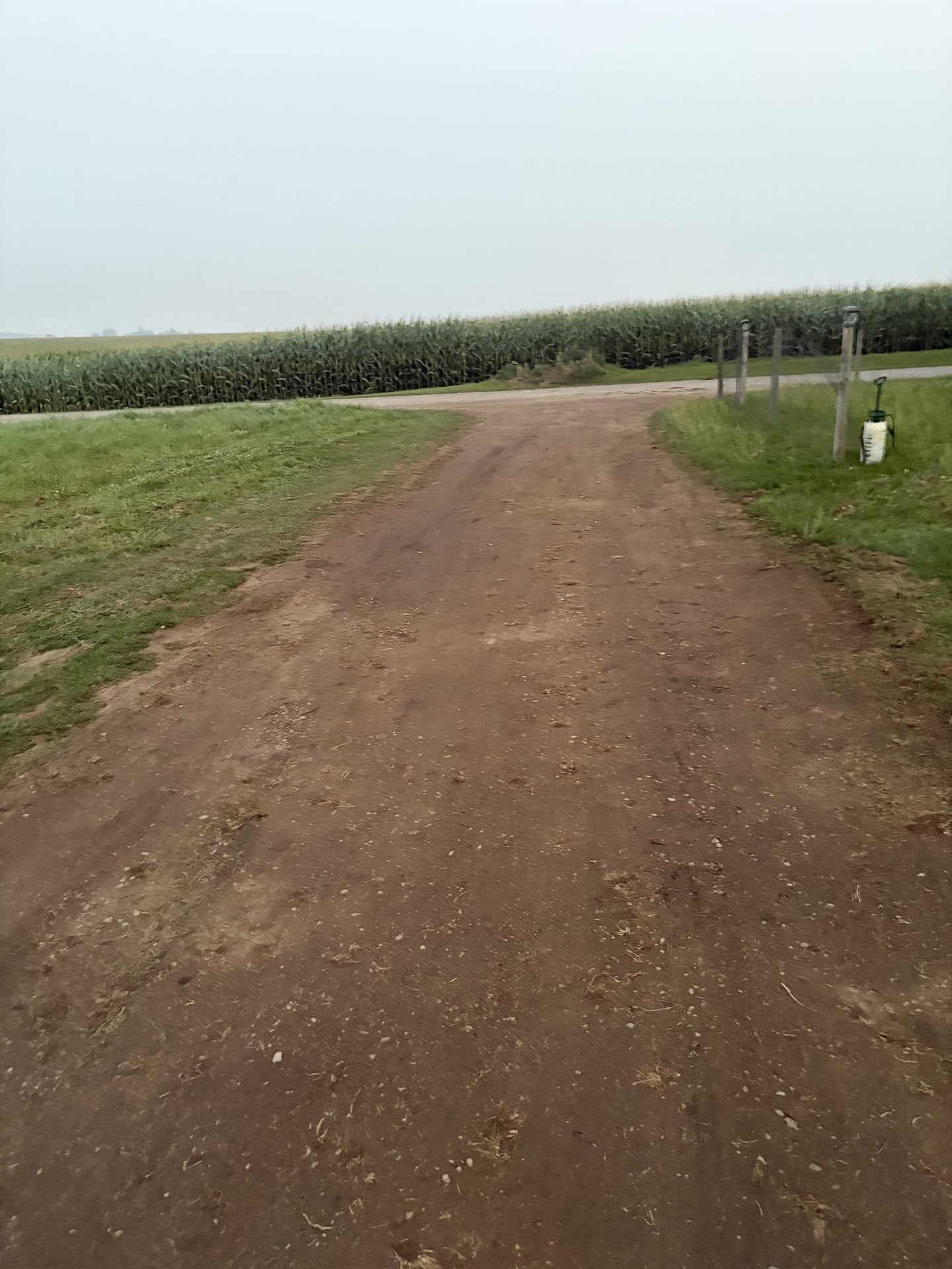 IMG 3072