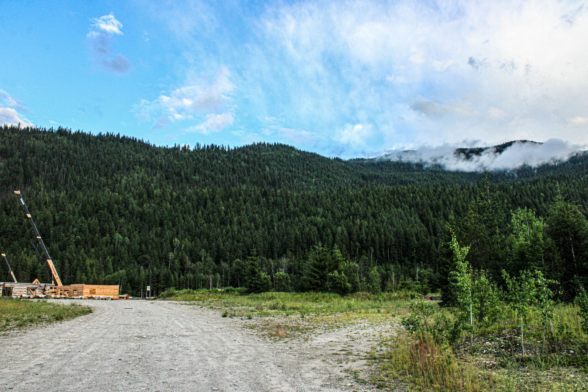 A dirt road surrounded by trees and mountains