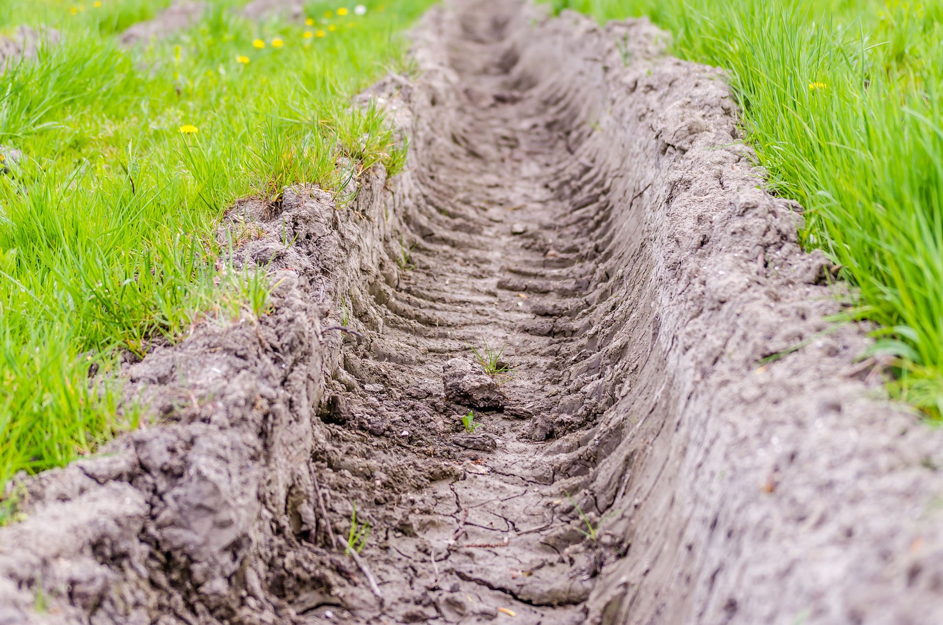 Close-up of a tractor track in a vibrant green field in the countryside.